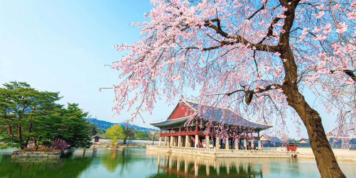 what to do in seoul 2023